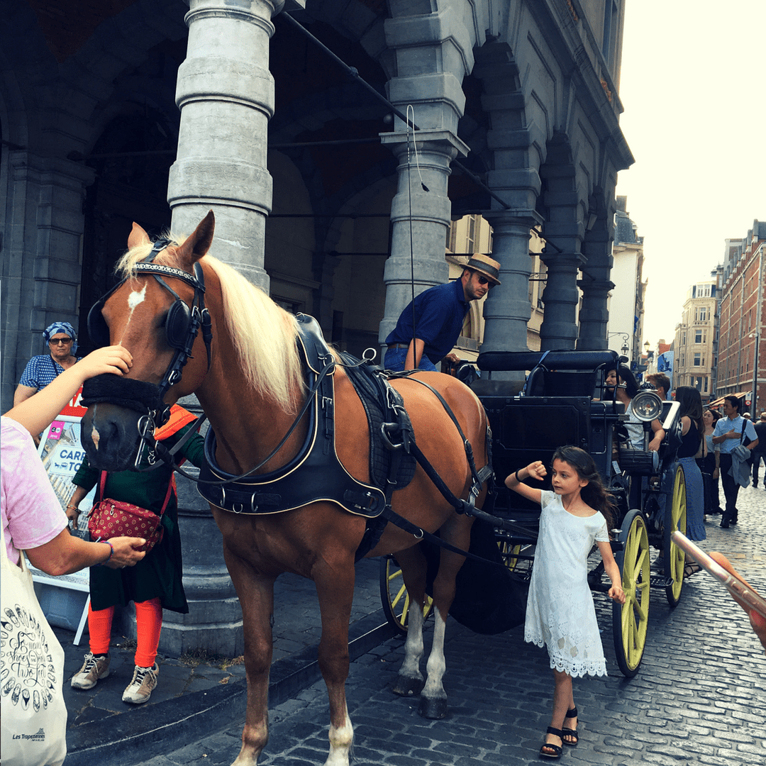 horse_drawn_tour_brussels