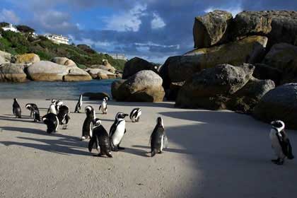 South Africa Winter Sun with Toddlers