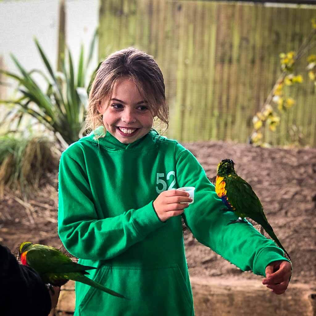 Girl In Green Jumper With Lorikeet On Her Arm