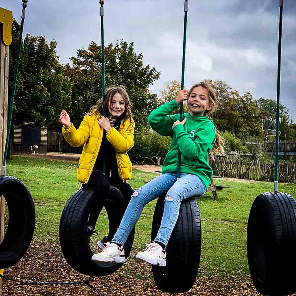 Two Young Girls On Tyre Swings