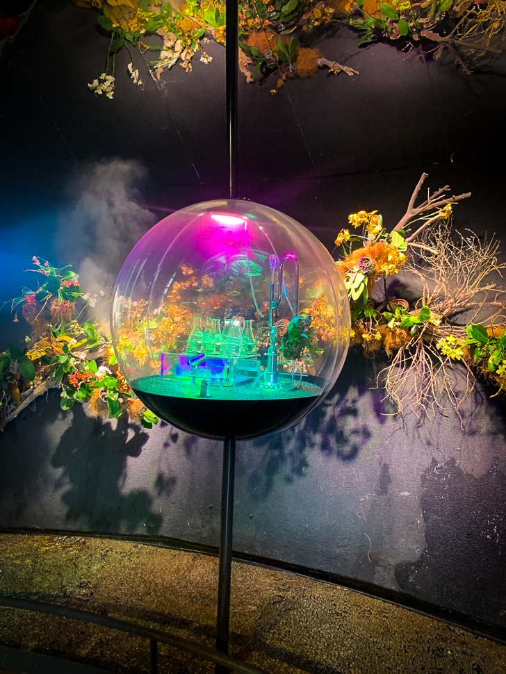 clear glass nature ball against a back drop of flowers and a black wall