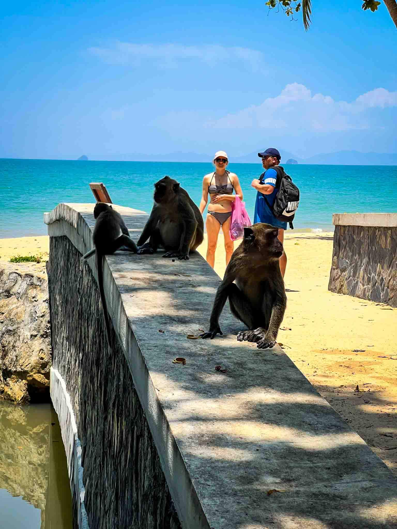 Tackling The Monkey Trail Ao Nang Krabi Places To Take Toddlers And tackling-the-monkey-trail-ao-nang-krabi-places-to-take-toddlers-and