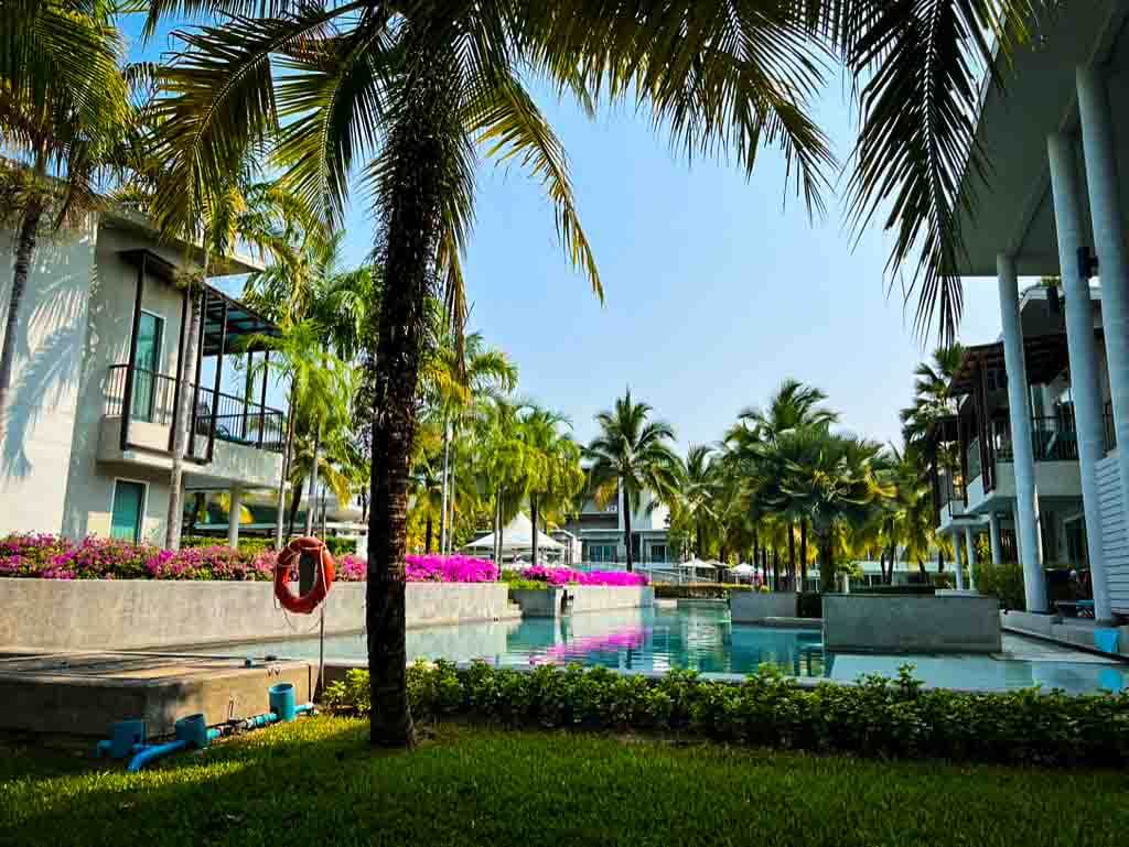 palm trees surrounding a hotel swimming pool