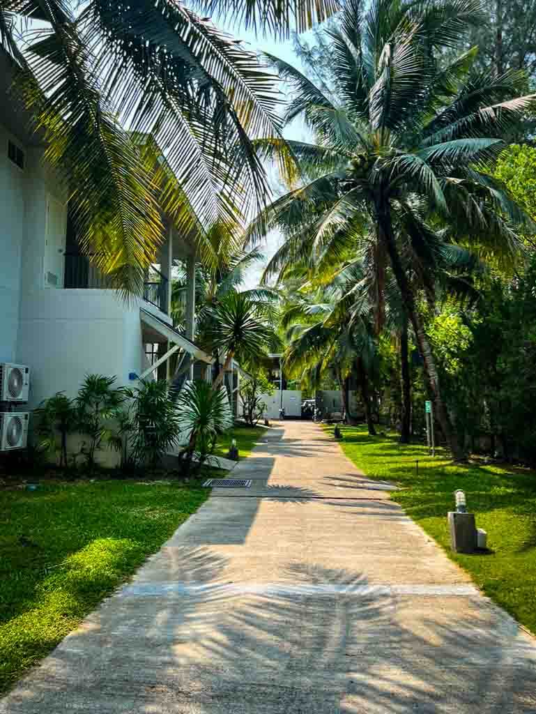 hotel walkway between rooms bordered by palm trees