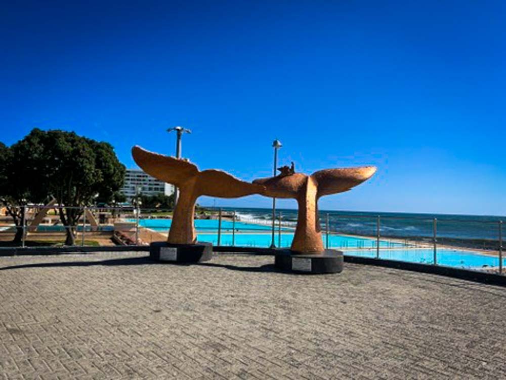 whale tail sculpture at sea point in south africa