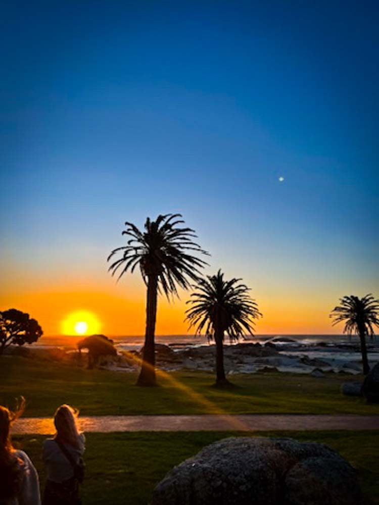 sunset behind palm trees in Camps Bay