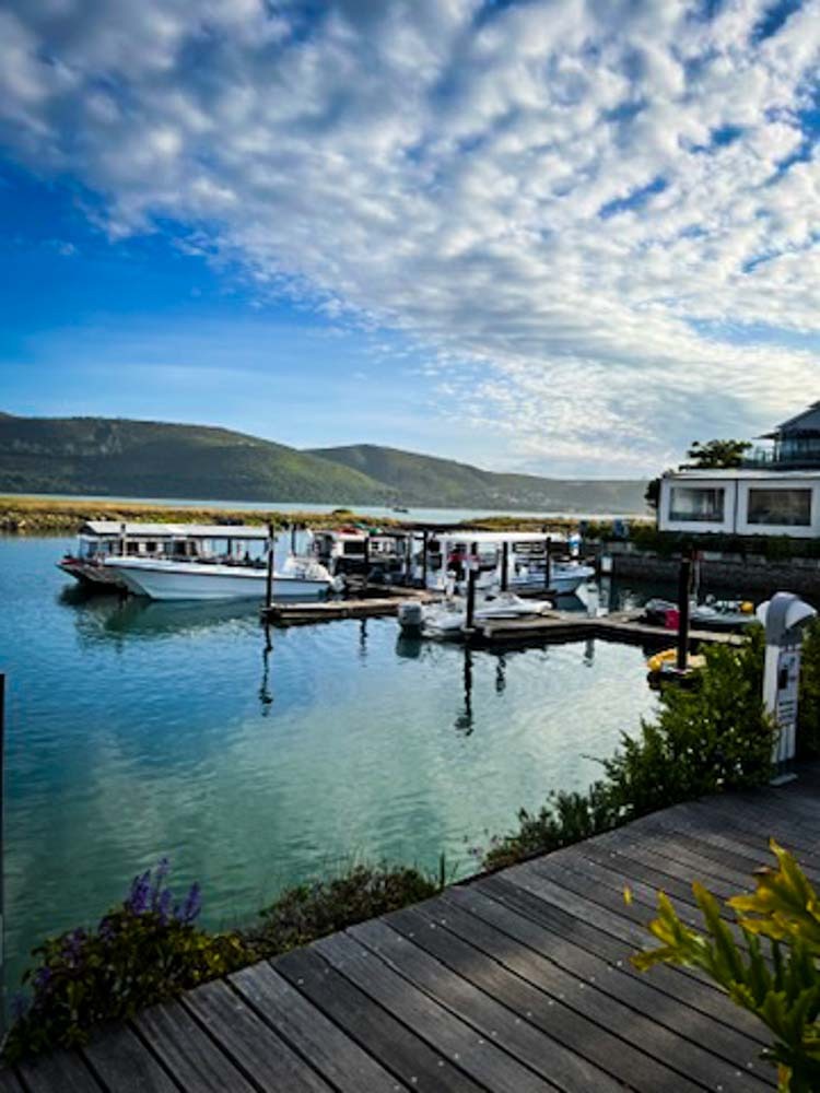 boats moored in south africa