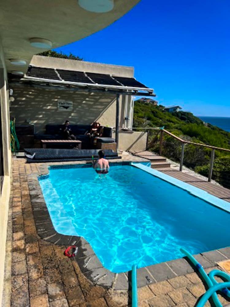 whale huys infinity pool