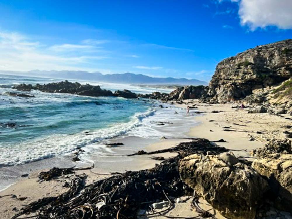 view of deserted white sand beach with a turquiose sea at walkers bay in south africa