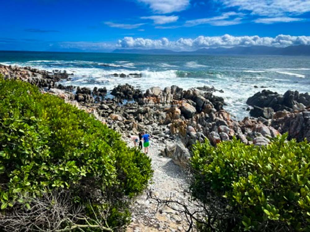 rocks and beach on the coast in south africa